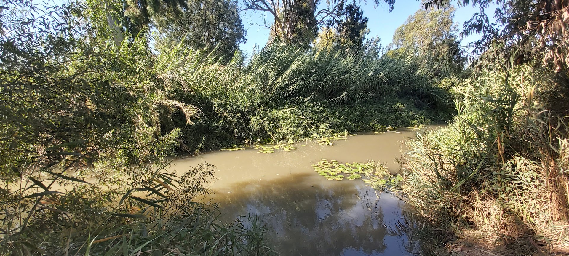 You are currently viewing Get lost כולל טבילה צוננת במעיין