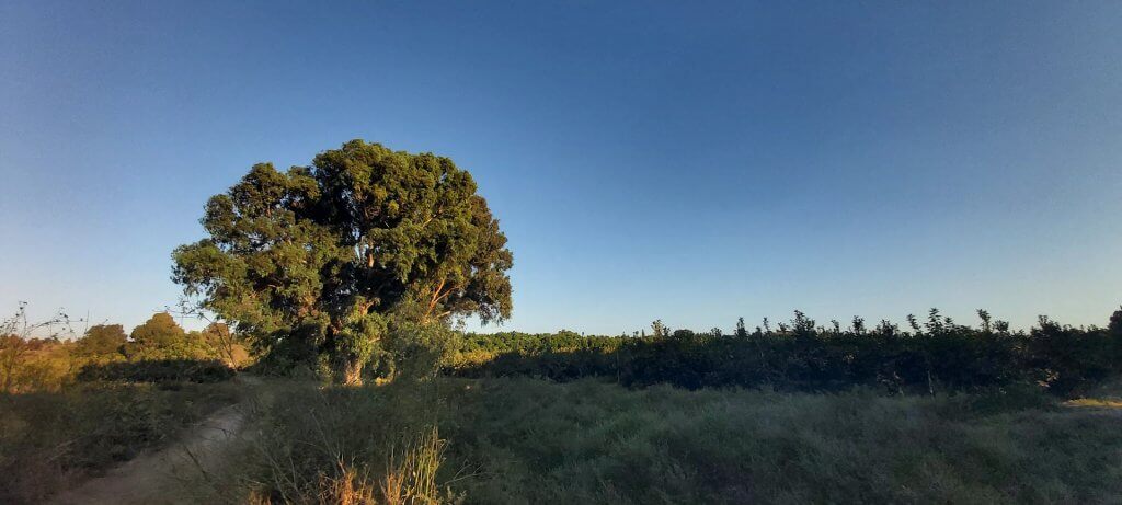 מסלול טיול מתחת לכביש החוף