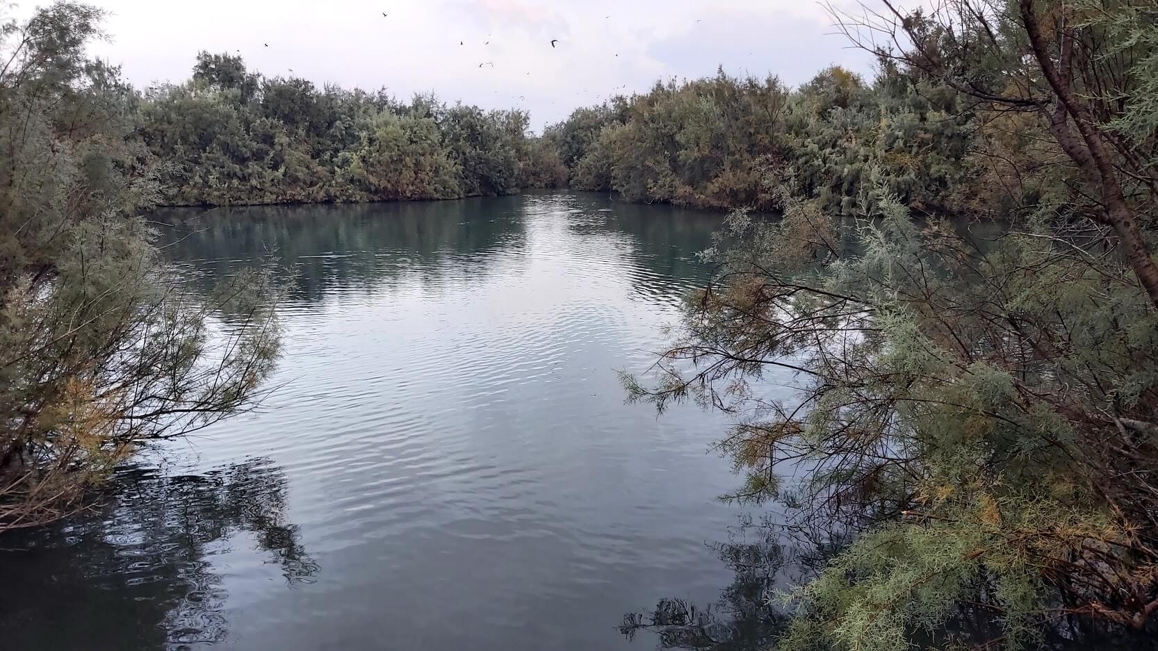 You are currently viewing Get lost בסבך התמסח