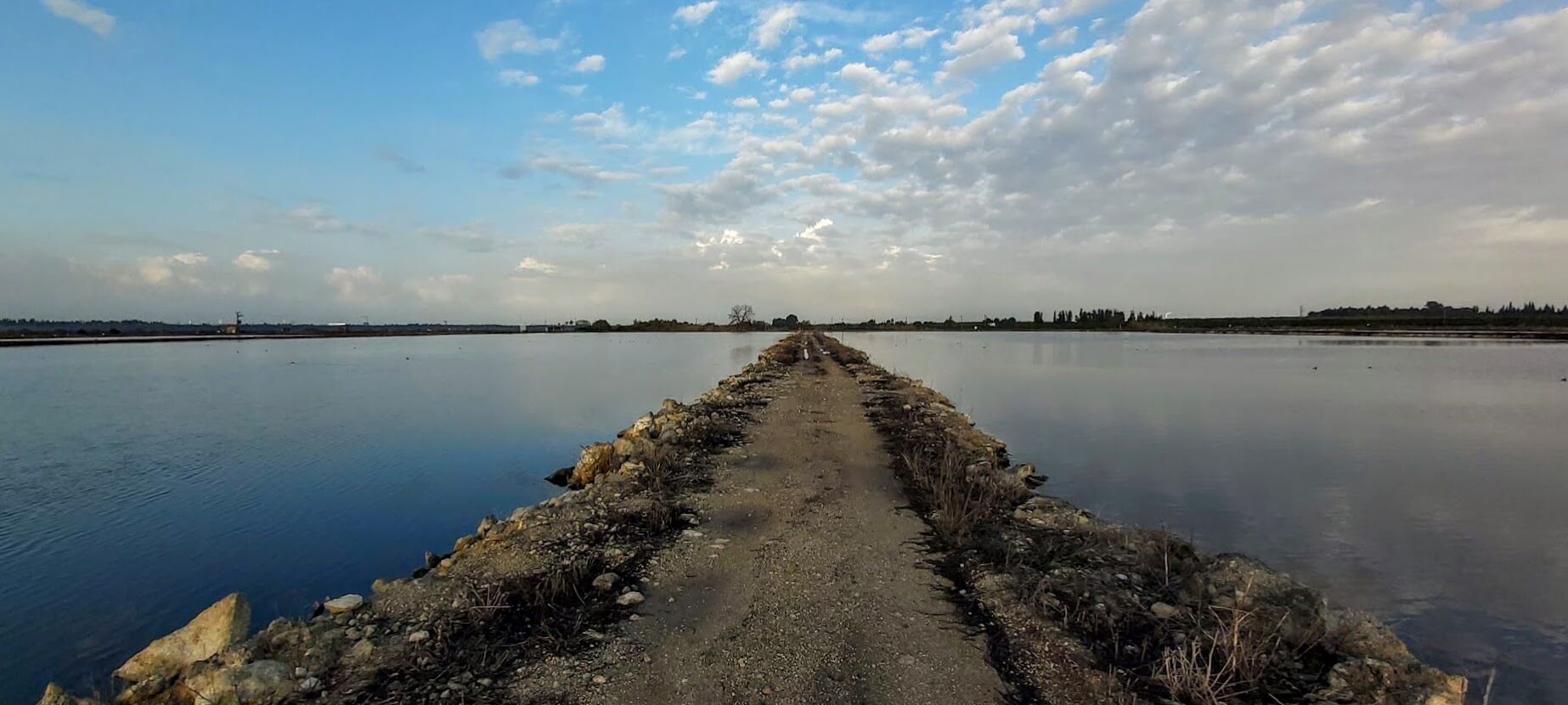 You are currently viewing Get lost אל העץ הקסום