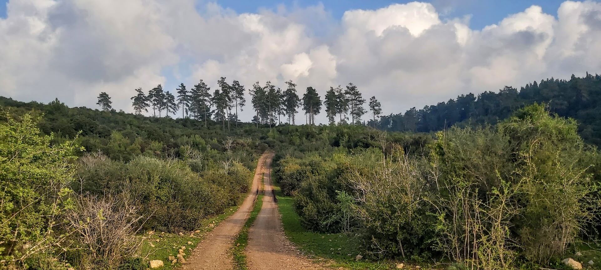 You are currently viewing Get lost בטעם קָנָדִי