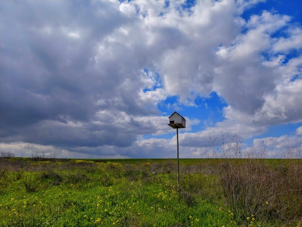 מסלול טיול שישי בוקר 