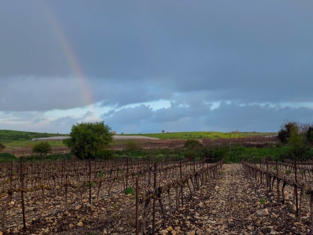 מסלול שוטטות חורפי