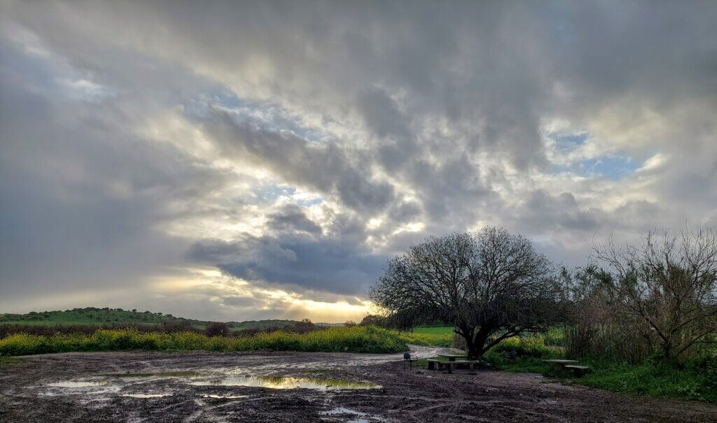 מסלול שוטטות חורפי