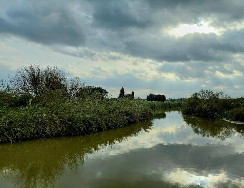 טיול פריחות