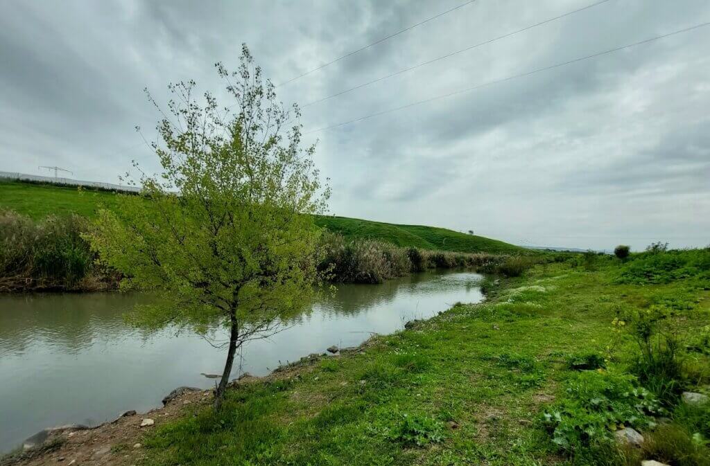 טיול לצד נהר