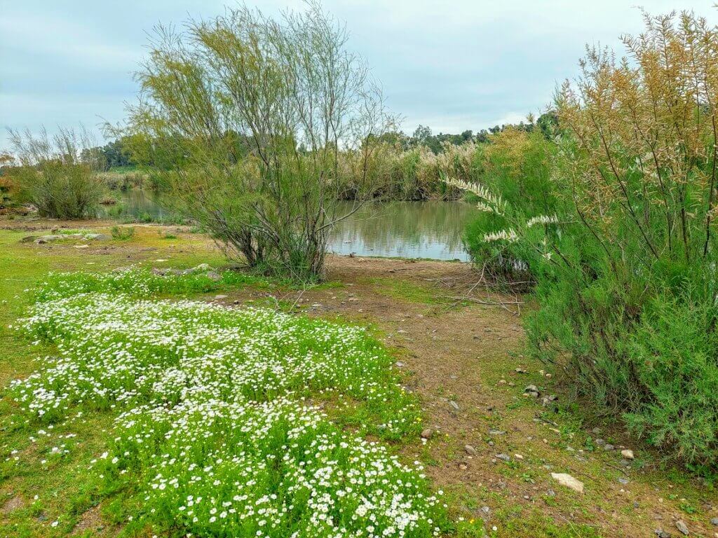 טיול לצד נהר