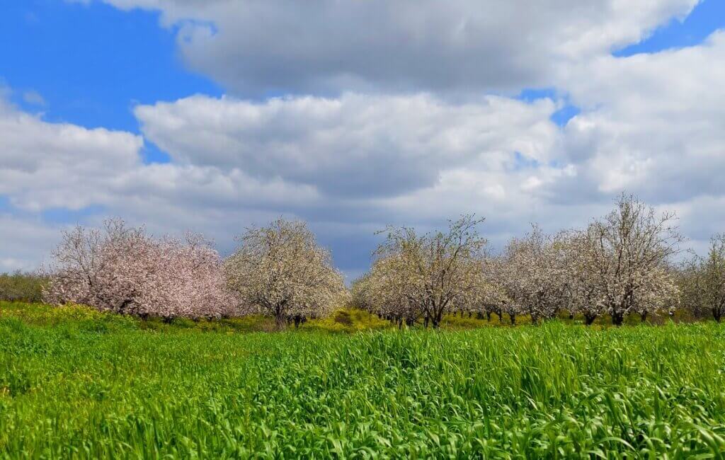 טיול רגלי רומנטי