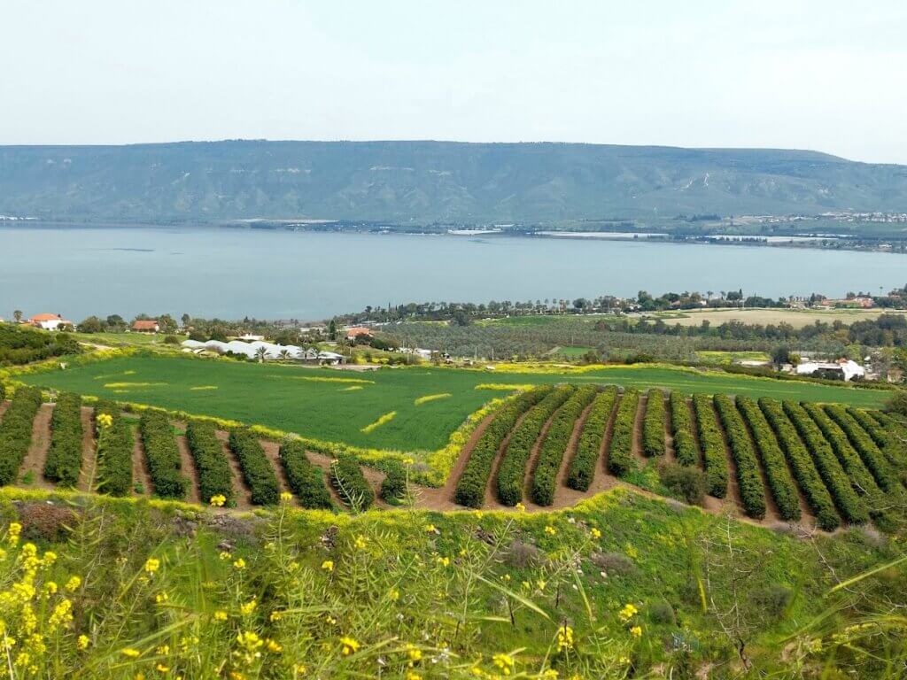 טיול רגלי רומנטי
